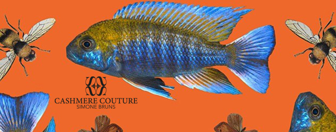 CASHMERE COUTURE CASHMERE COUTURE