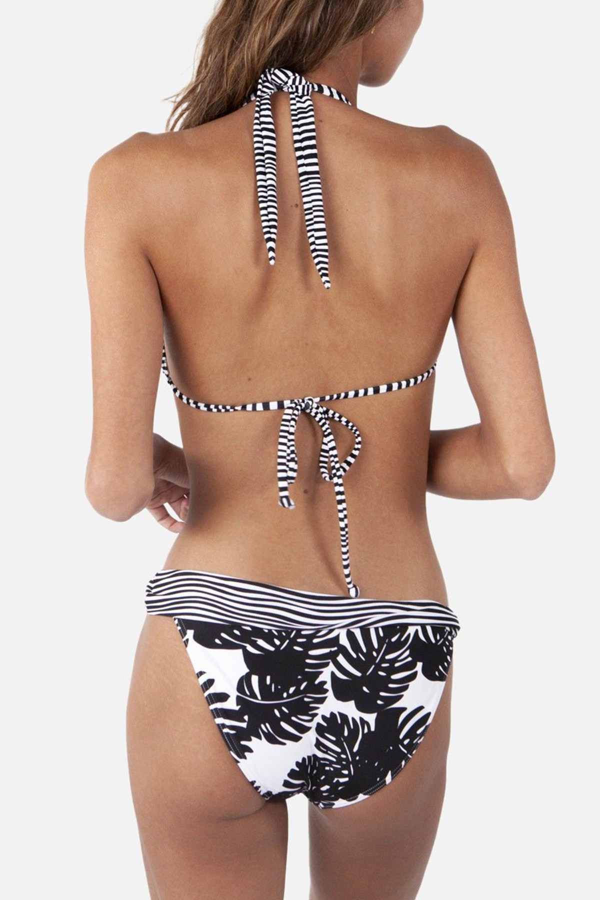 Bikini-Hose Banksia Briefs