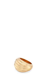 Ring Shujaa