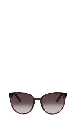 Sonnenbrille Armada