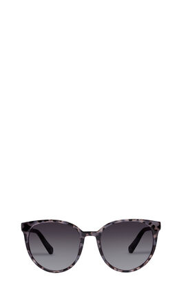 Sonnenbrille Armada