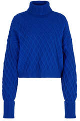 Pullover Venoto Solid Turtle - DANTE6