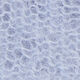 Cashmere Schal Eisblau