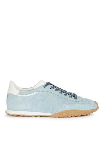 Sneaker Bird