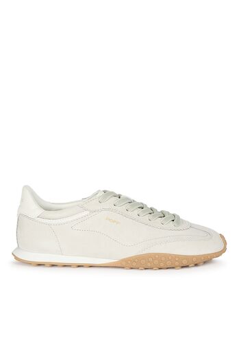Sneaker Bird