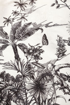 Rock Palm