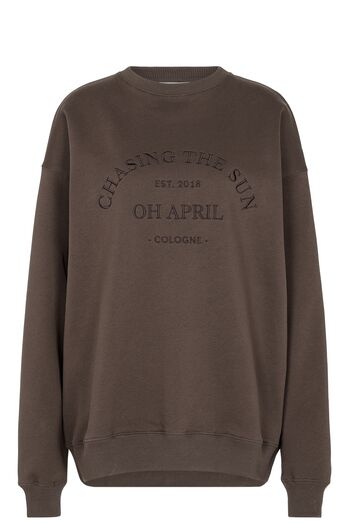 Sweatshirt Chasing