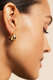Bold Creoles S