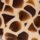 Haarspange Small Giraffe