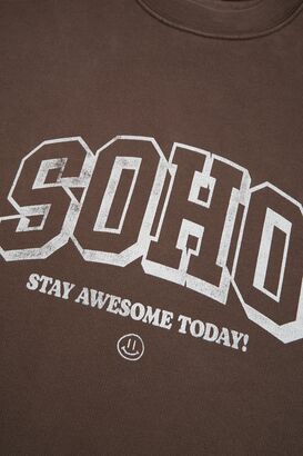 Sweatshirt Awesome 