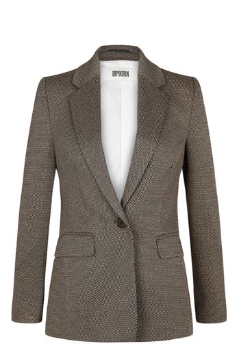 Blazer Atlin