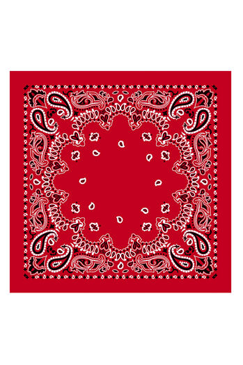 Bandana aus Baumwolle 