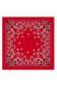 Bandana aus Baumwolle 
