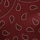 Paisley Tuch aus Seide