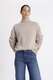 Pullover mit Turtleneck