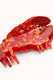 Haarspange Lobster