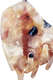 Haarspange Lilly, Pearl Nude Multi