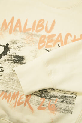 Sweatshirt Harry Shrunken