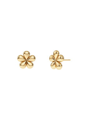 Daisy Studs Gold