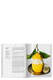 The Gourmand's Lemon. 