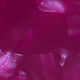 Haarspange Lilly, Deep Bordeaux