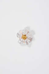 Knopf Cover, Flower